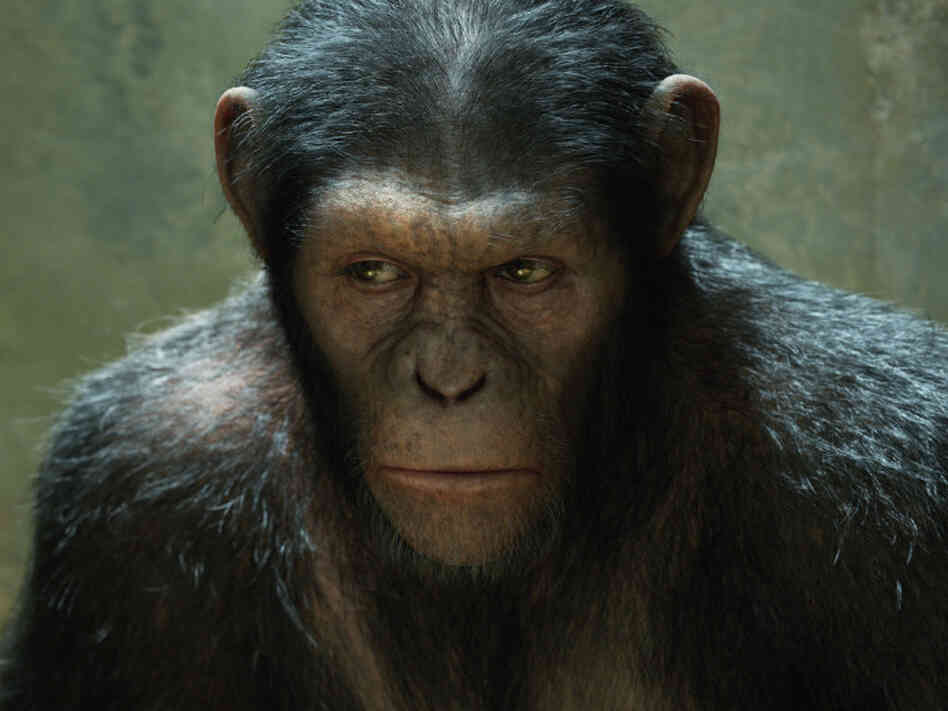 Andy Serkis plays Caesar in Rise of the Planet of the Apes. Caesar is entirely computer generated.
