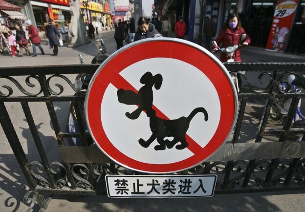 A sign reading "No Entry For Dogs" is posted near the Confucius Temple in a file photo from Nanjing, China. The city sought to remove stray dogs in 2007, prompted by fears of rabies.