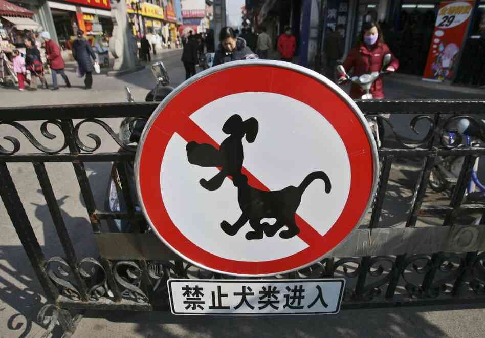 A sign reading "No Entry For Dogs" is posted near the Confucius Temple in a file photo from Nanjing, China. The city sought to remove stray dogs in 2007, prompted by fears of rabies.