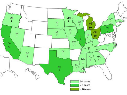 Cases of salmonella linked to the Heidelberg strain of the bacterium.