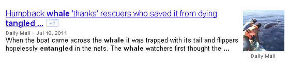 Google search result Google search result
