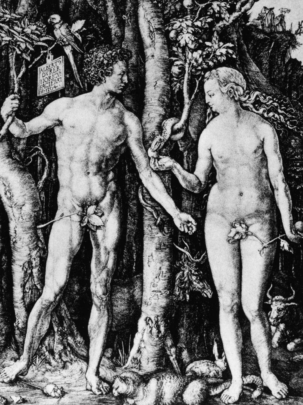 An engraving depicting Adam and Eve in the Garden of Eden, by Albrecht Durer, 15th century.