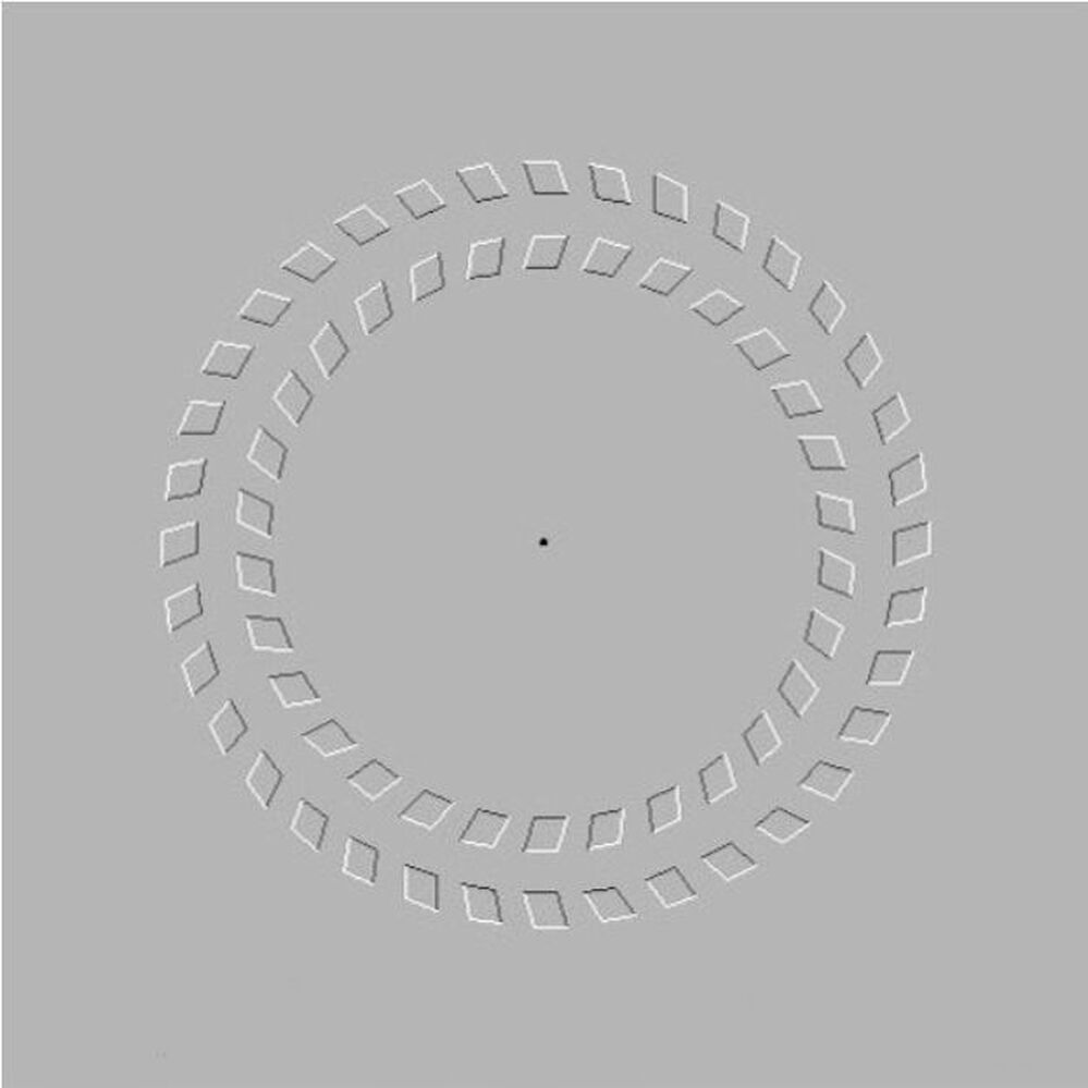 Here is Pinna-Brelstaff Illusion. If you focus on the dot and move your head in, then move it out the circles spin.
