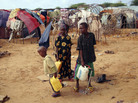 Children from southern Somalia fill jugs with water at a refugee camp in Mogadishu Tuesday. The number of people fleeing famine-hit areas of Somalia is likely to rise dramatically and could overwhelm international aid efforts in the Horn of Africa, a U.N. aid official said Tuesday. Children from southern Somalia fill jugs with water at a refugee camp in Mogadishu Tuesday. The number of people fleeing famine-hit areas of Somalia is likely to rise dramatically and could overwhelm international aid efforts in the Horn of Africa, a U.N. aid official said Tuesday.