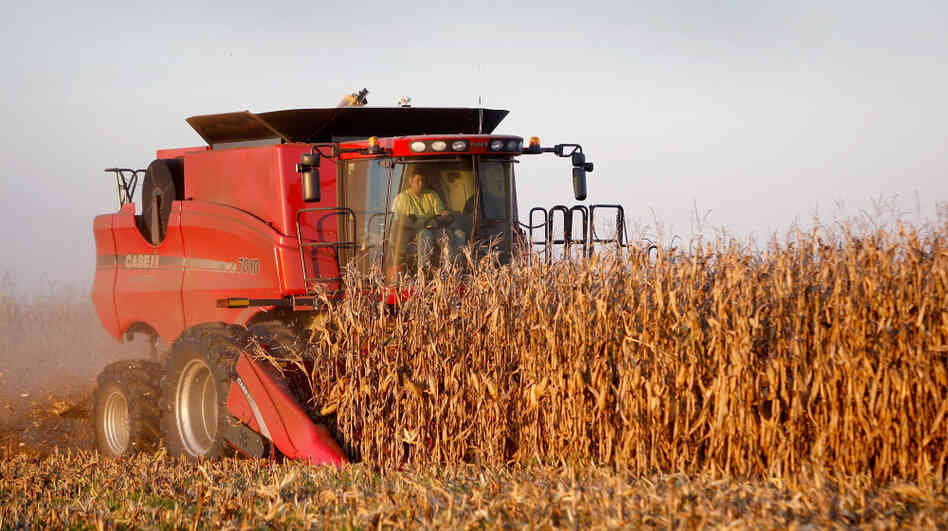 Joe Raben harvests corn on land he farms with his father and uncle Oct. 4, 2008, near Carmi, Ill. Some farmers say technological improvements and farming mechanization, not subsidies, are responsible for increased output. Joe Raben harvests corn on land he farms with his father and uncle Oct. 4, 2008, near Carmi, Ill. Some farmers say technological improvements and farming mechanization, not subsidies, are responsible for increased output.