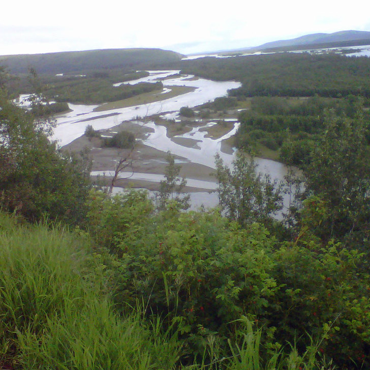 The Tanana River, pictured from the side of the Alaska Highway.