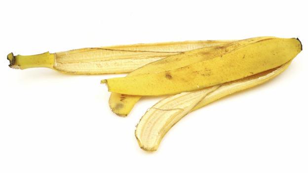 Researchers have found that the oft-maligned banana peel can grab heavy metals out of polluted water.