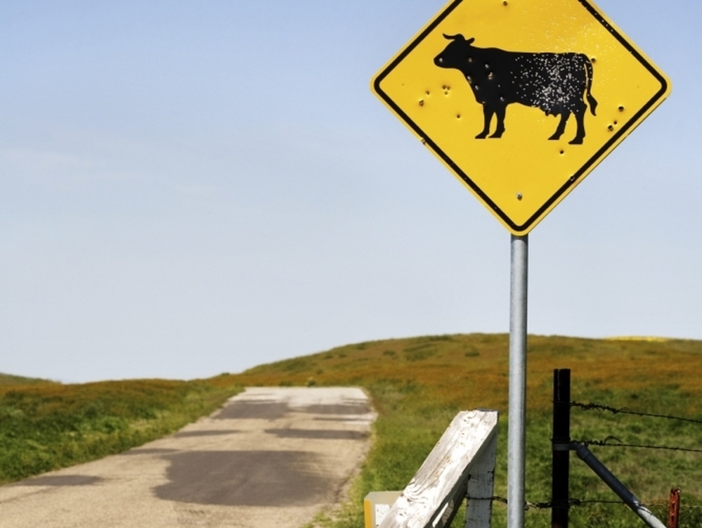 As the percentage of the nation's population living in rural areas shrinks, programs that serve those areas — from post offices to airports — are being reevaluated.
