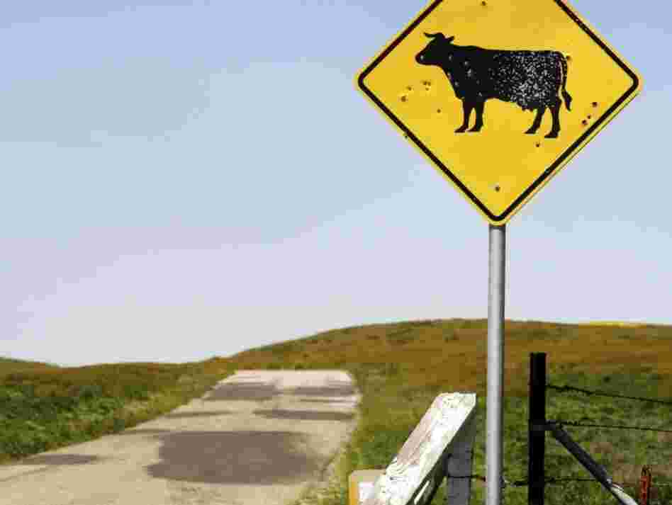 As the percentage of the nation's population living in rural areas shrinks, programs that serve those areas — from post offices to airports — are being reevaluated.
