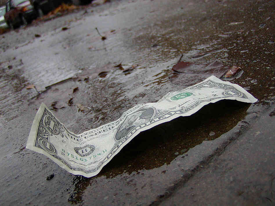 Dollar bill Dollar bill