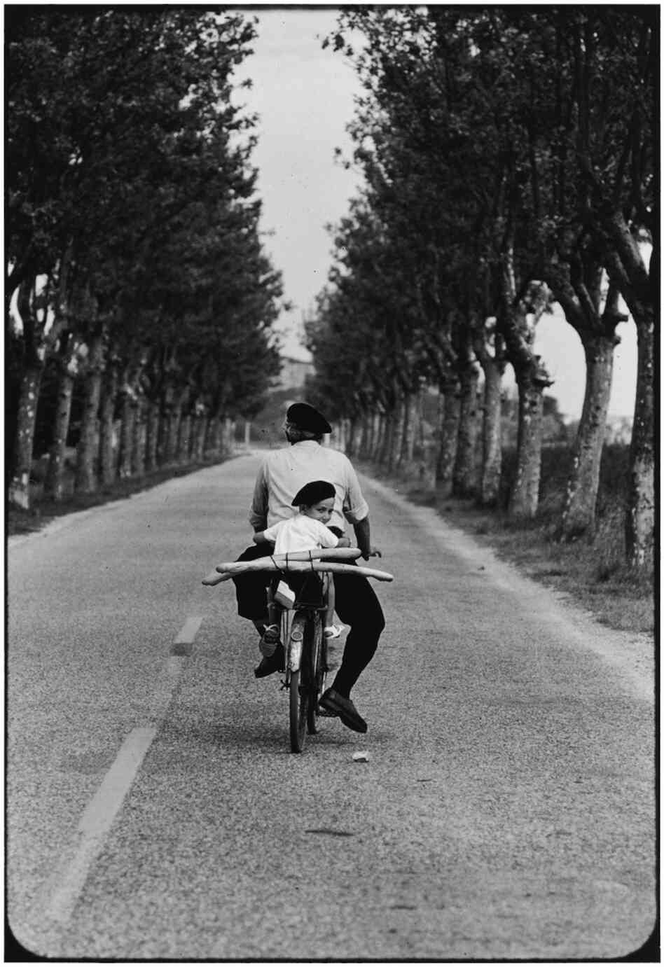 Provence, France, 1955 Provence, France, 1955