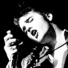 Elvis Presley, in an undated photo. Elvis Presley, in an undated photo.