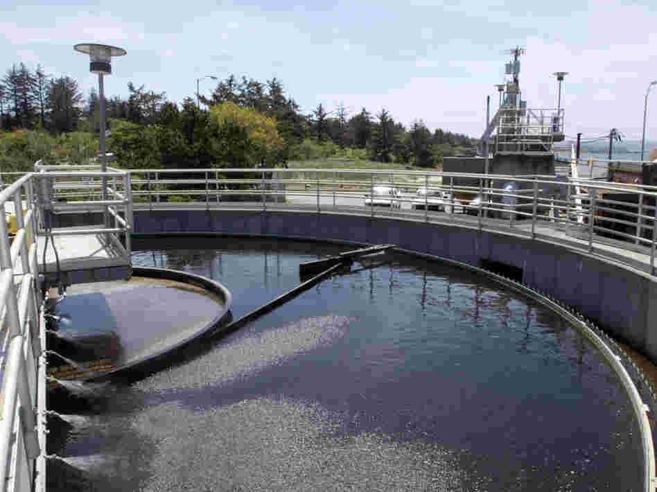 A boom sweeps around a tank at a sewage treatment plant in Coos Bay, Ore. Even though sewage water can be treated and cleaned, psychologists say getting the "cognitive sewage" out of the water is much more difficult.