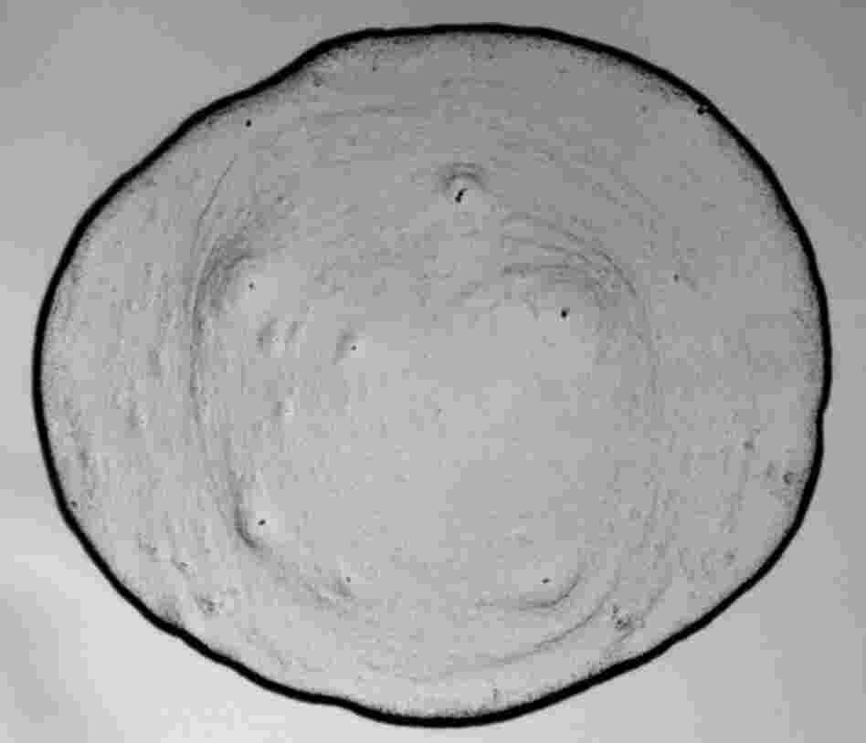 Coffee, like many liquids, contains tiny, spherical particles (see the video below). When a drop of the liquid dries, forces push the particles toward the edge, where they are deposited in a thick line.