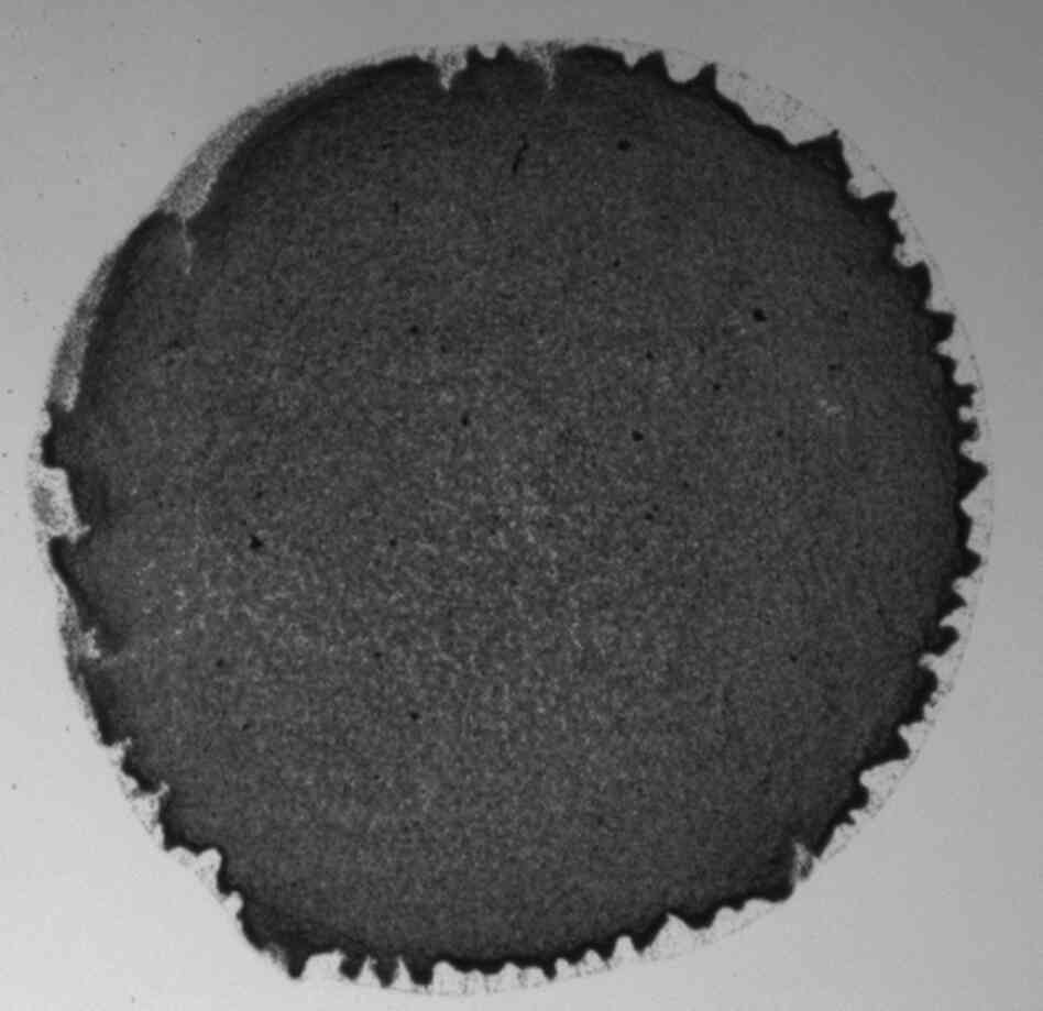 When the particles in a liquid are elongated, they slightly deform the surface of a drop of liquid, changing the forces inside the drop. When it dries, a solid layer is formed, rather than a ring.