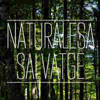 Naturalesa Salvatge. Naturalesa Salvatge.