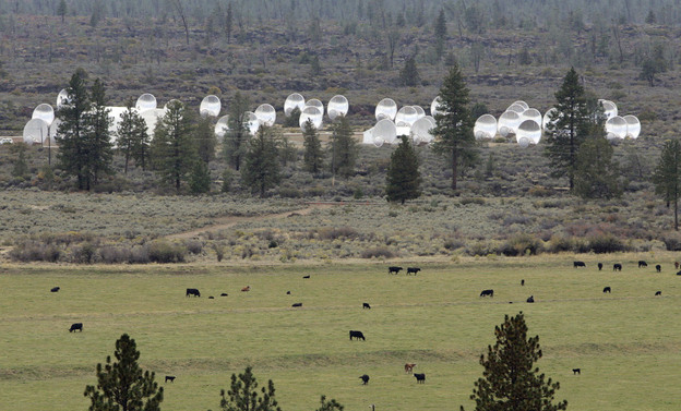 SETI says that its Allen Telescope Array will be back online in September, thanks to funding secured from online donations. The array is seen here, adjacent to a cow pasture in Hat Creek, Calif.