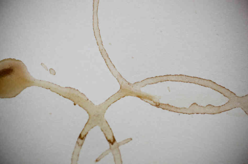 Scientists now know why coffee rings have dark, well-defined edges, as seen in the image above. The research finding may have implications on the development of inks and paints. Scientists now know why coffee rings have dark, well-defined edges, as seen in the image above. The research finding may have implications on the development of inks and paints.