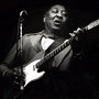 Muddy Waters in 1979.