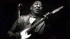 Muddy Waters in 1979. Muddy Waters in 1979.