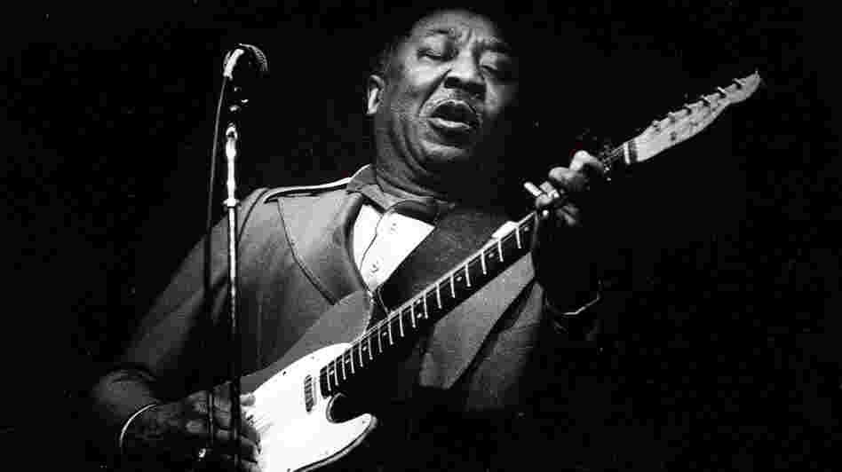 Muddy Waters in 1979.