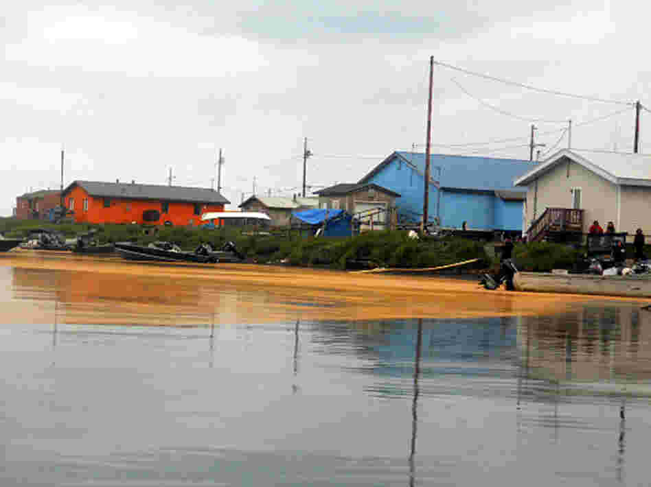 A photo taken on Aug. 3 shows an orange mass floating on the water at Kivalina, Alaska. Samples of the "goo" were sent to NOAA for analysis — and determined to be fungal spores, not microscopic eggs.