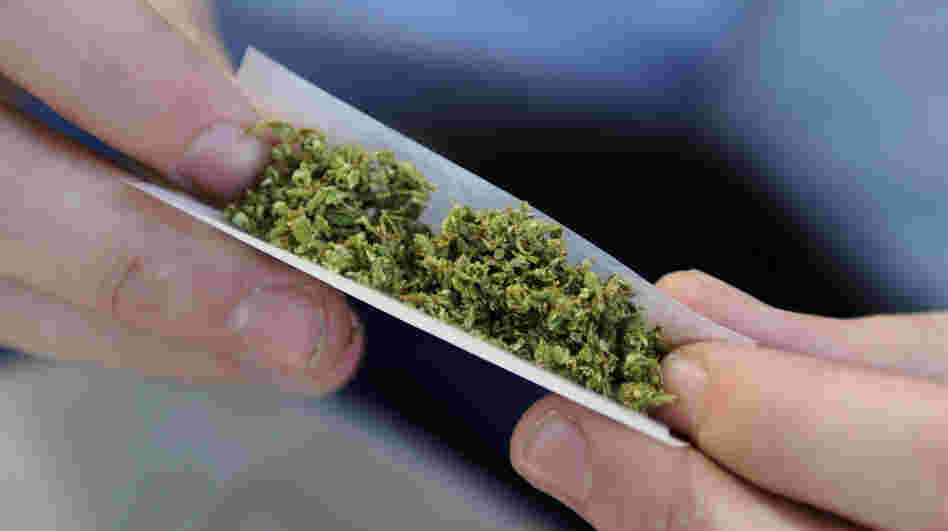 The scientists who sequenced the marijuana plant say they hope the next generation of pot will have stronger therapeutic compounds.