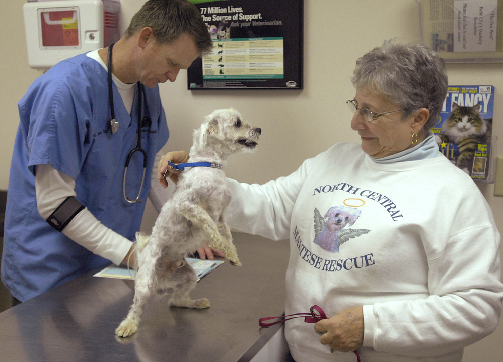 Mary Palmer brings Max in for a checkup at Belle City Veterinary Hospital in Racine, Wis., on Oct. 29, 2008. Max was stolen from his yard in Florida and turned up several months later in Chicago.