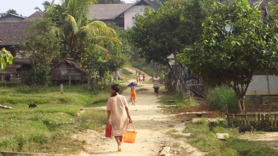 A dirt road passes through remote Sekendal village in Indonesia's western Borneo. Some 60 percent of the island's forests have been cut down, and only 8 percent  of the islands  virgin forests remain, mostly in national parks.