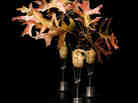 Alinea's version of pheasant, served with shallot, cider gel and burning oak leaves.
