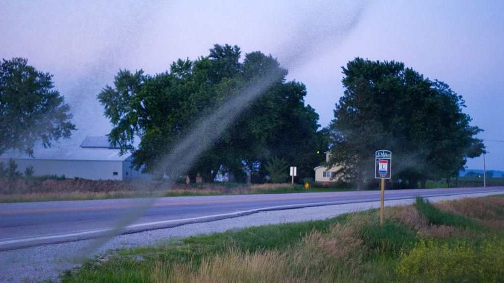 Midge swarms are seen along Highway 30 in Council Bluffs, Iowa. The recent flooding in the area caused a population boom of the tiny insects.