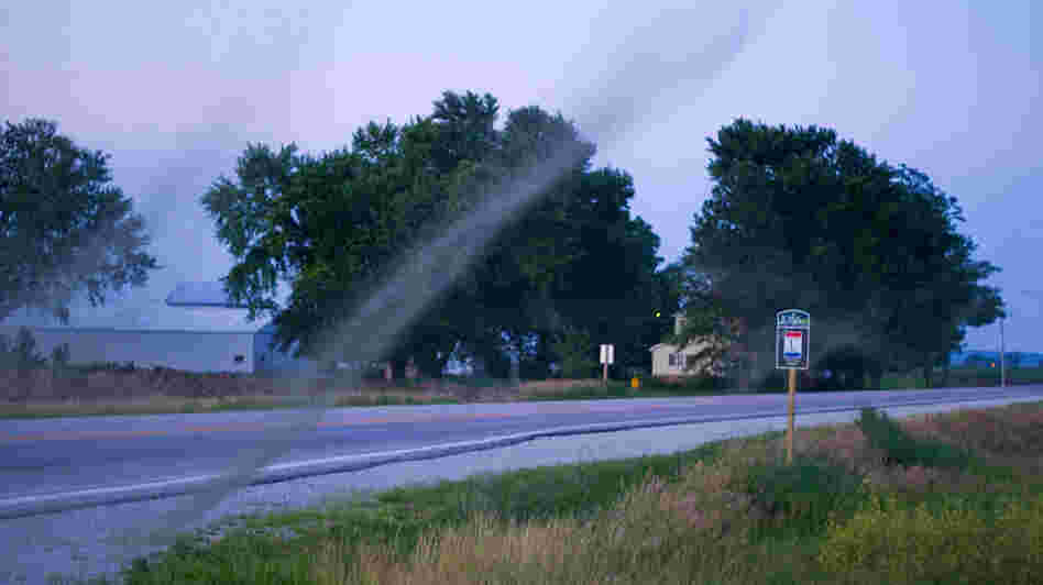 Midge swarms are seen along Highway 30 in Council Bluffs, Iowa. The recent flooding in the area caused a population boom of the tiny insects.
