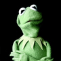 Kermit and the other Muppets get the all-star treatment on the newly released tribute Muppets: The Green Album.
