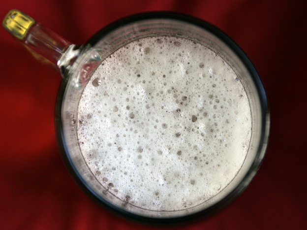 An Argentinian heritage? Scientists say the key yeast in lager may have originated in Patagonia.