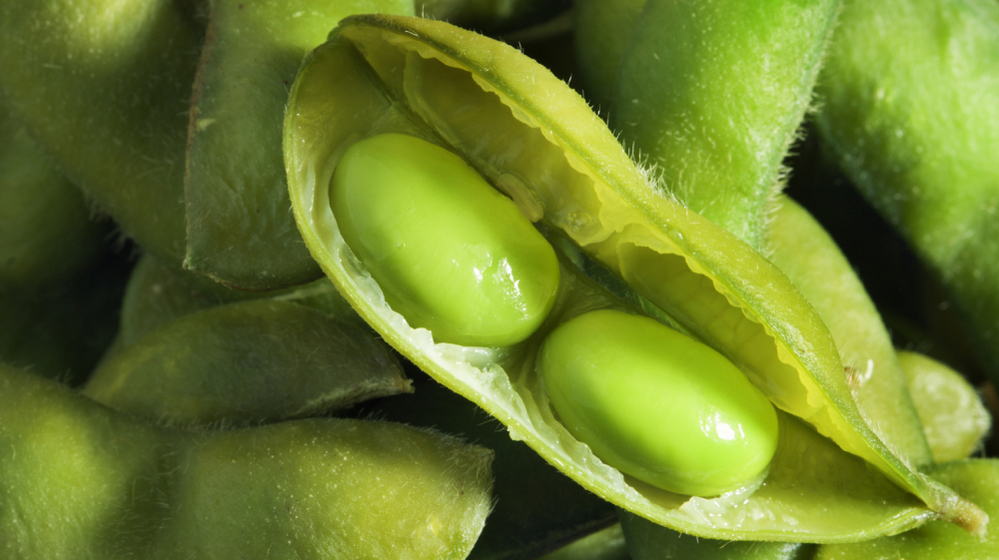 Got high cholesterol? Soybeans might help.