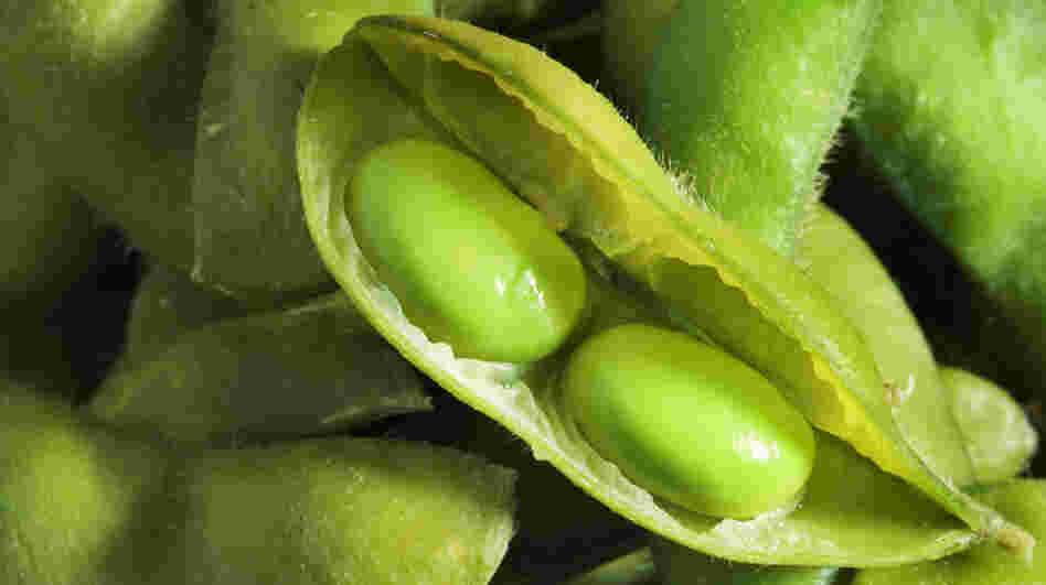 Got high cholesterol? Soybeans might help.