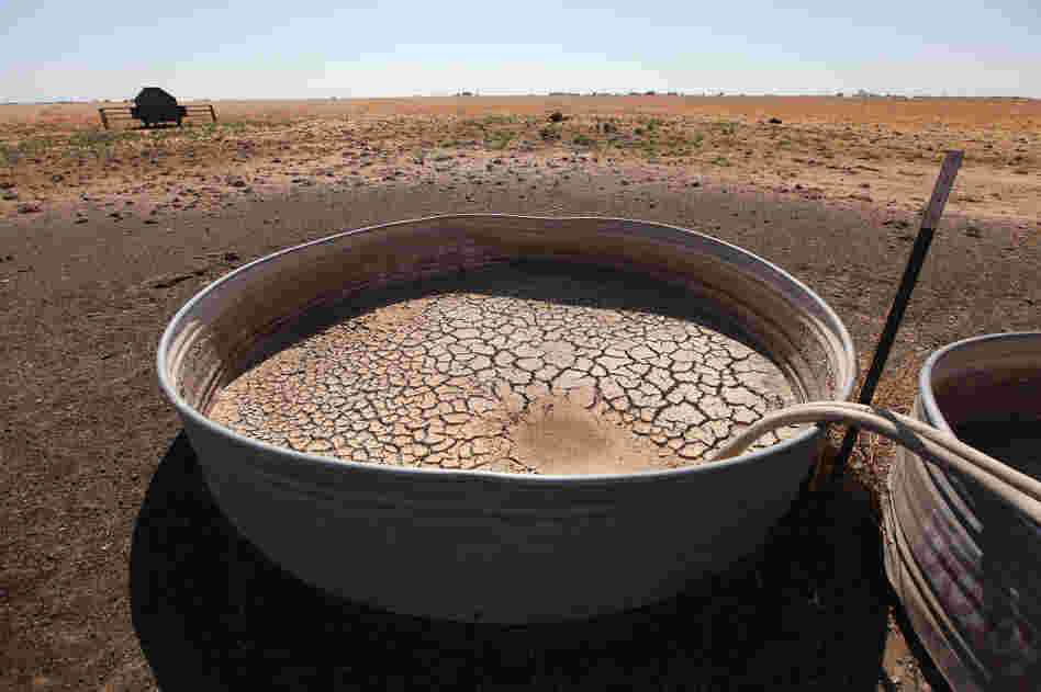 Cracked mud sits in the bottom of a water tank in a cow pasture near Tulia, Texas. In recent months, the state has experienced its driest weather since records were first kept, in 1895.