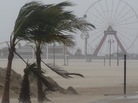 Wind blows against palm trees on a beach in Ocean City, Md., on Saturday. Wind blows against palm trees on a beach in Ocean City, Md., on Saturday.