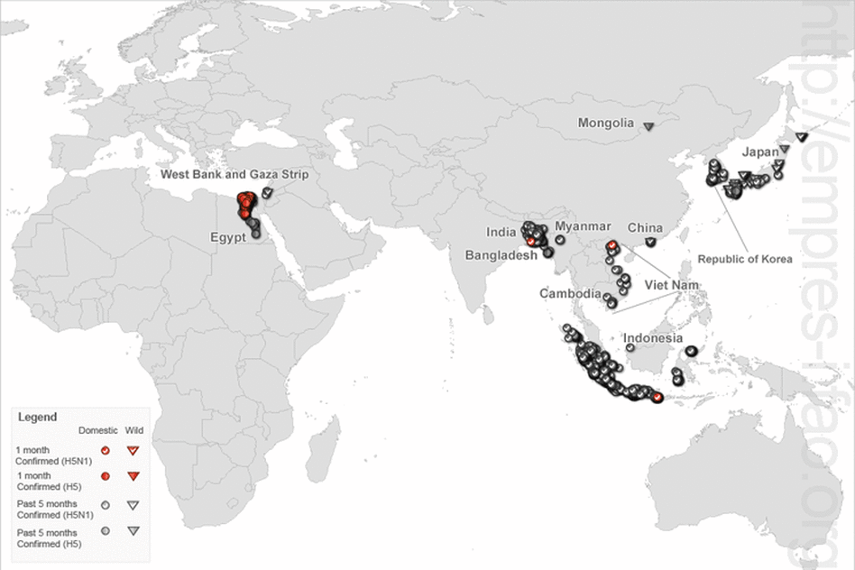 Human cases of avian flu reported during the first half of 2011.
