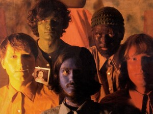 Olivia Tremor Control Olivia Tremor Control