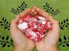 Animal Vegetable Miracle Animal Vegetable Miracle