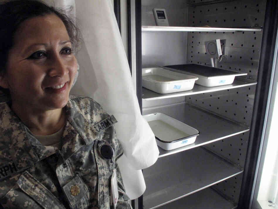 Maj. Jittawadee Murphy, an entomologist, stands near trays of incubating mosquito larvae used to determine whether experimental drugs and vaccines can prevent malaria.