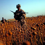 U.S. Marines patrol with Afghan forces through a harvested poppy field in Northern Marjah in southern Afghanistan's Helmand province, June 6, 2011. Ten years after the fall of the Taliban, progress on U.S. pledges to help Afghanistan is mixed. U.S. Marines patrol with Afghan forces through a harvested poppy field in Northern Marjah in southern Afghanistan's Helmand province, June 6, 2011. Ten years after the fall of the Taliban, progress on U.S. pledges to help Afghanistan is mixed.