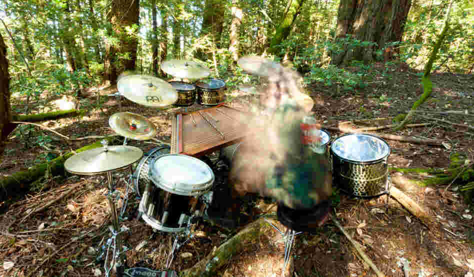 Botanist pounds paradiddles in some kind of ethereally weird black-metal drumline in the name of... plants?