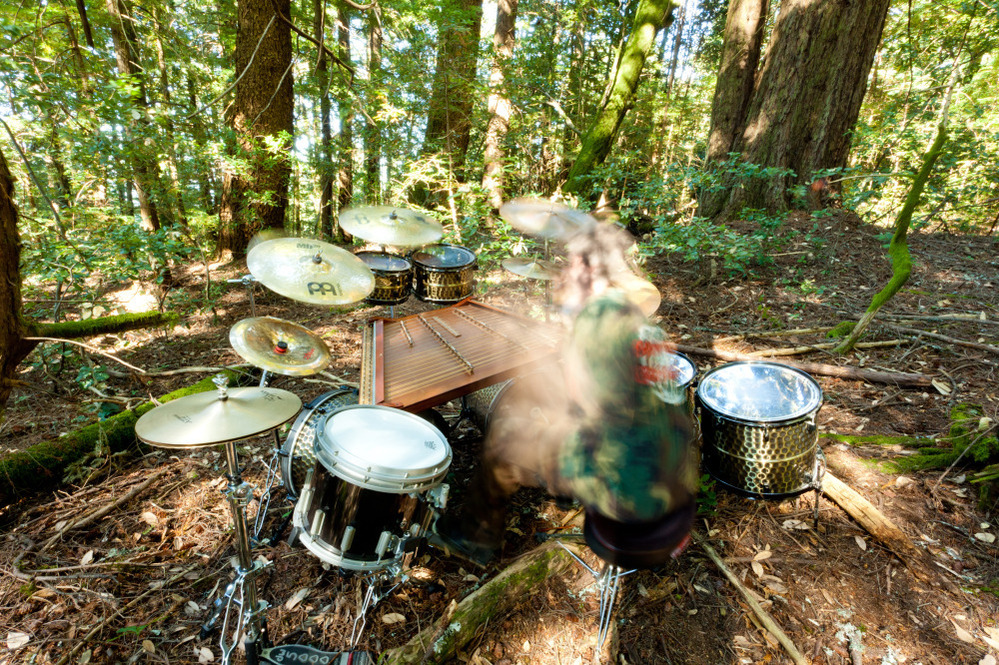 Botanist pounds paradiddles in some kind of ethereally weird black-metal drumline in the name of... plants?
