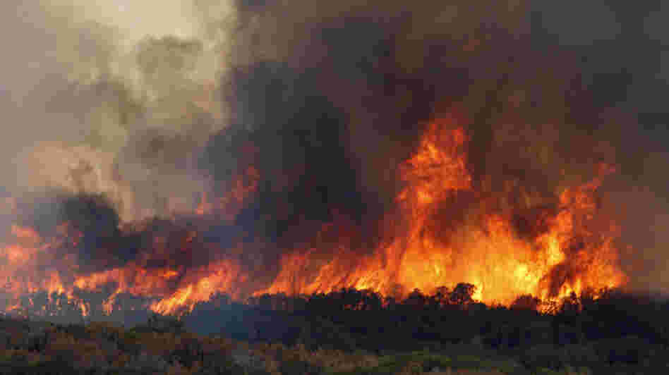 A wildfire roars through dry trees near  Possum Kingdom Lake, Texas, Wednesday, Aug. 31, 2011.
