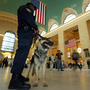 A K-9 police officer and his partner, "Bart," patrol New York's Grand Central Terminal in 2003. Less visible are the clandestine security measures the government has implemented since 2001. A K-9 police officer and his partner, "Bart," patrol New York's Grand Central Terminal in 2003. Less visible are the clandestine security measures the government has implemented since 2001.