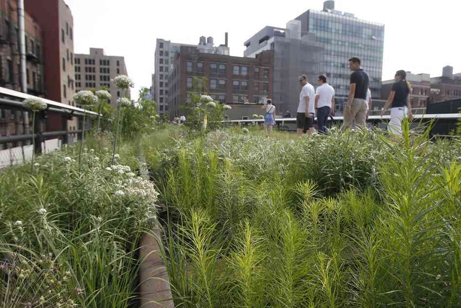 The High Line's second section stretches from West 20th Street to West 30th Street and is home to the park's Wildflower Field and Woodland Flyover. 