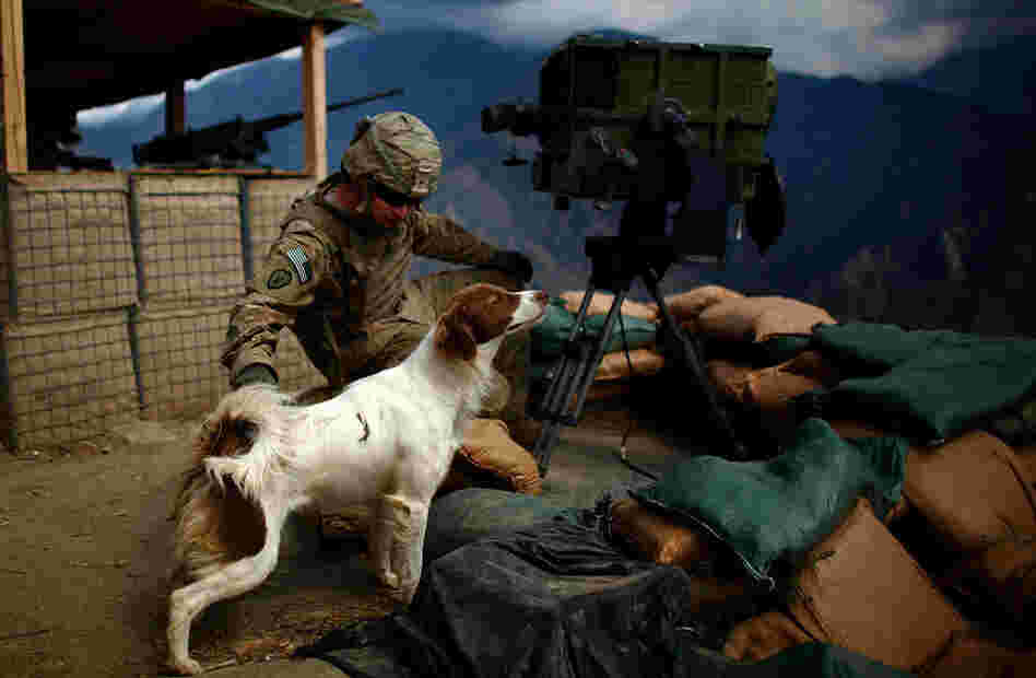 Pfc. Robert Hicks pets Cookie, a local Afghan dog that has adopted the men who stay at Observation Post Mustang.