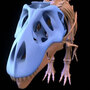Tyrannosaurus rex model